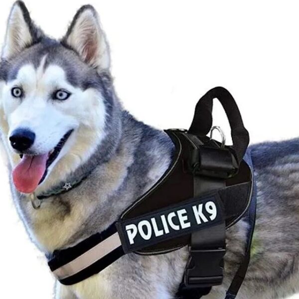 AM Grudni pojas za pse izuzetno jak julius police k9